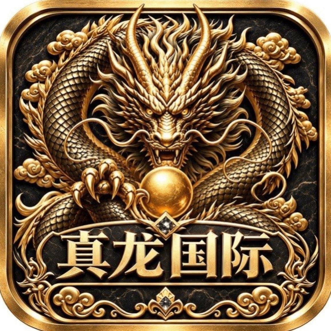 真龙国际